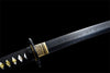 Handmade Spring Steel Full Tang Real Japanese Katana With Balck & Green Sheath